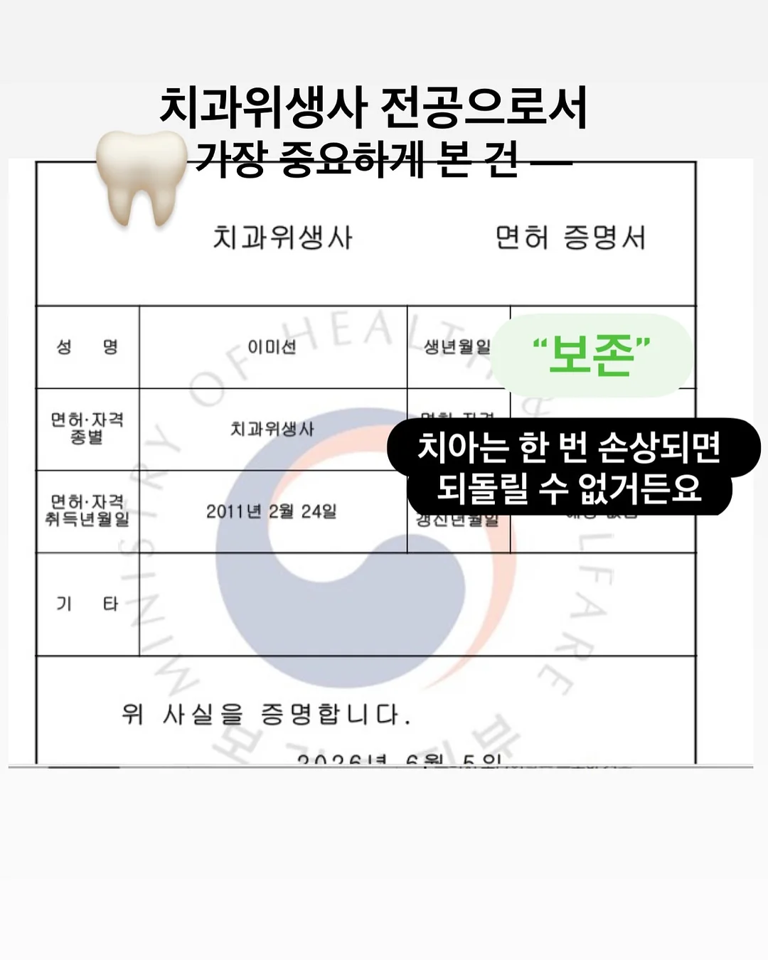 닌자초퍼 다지기 6