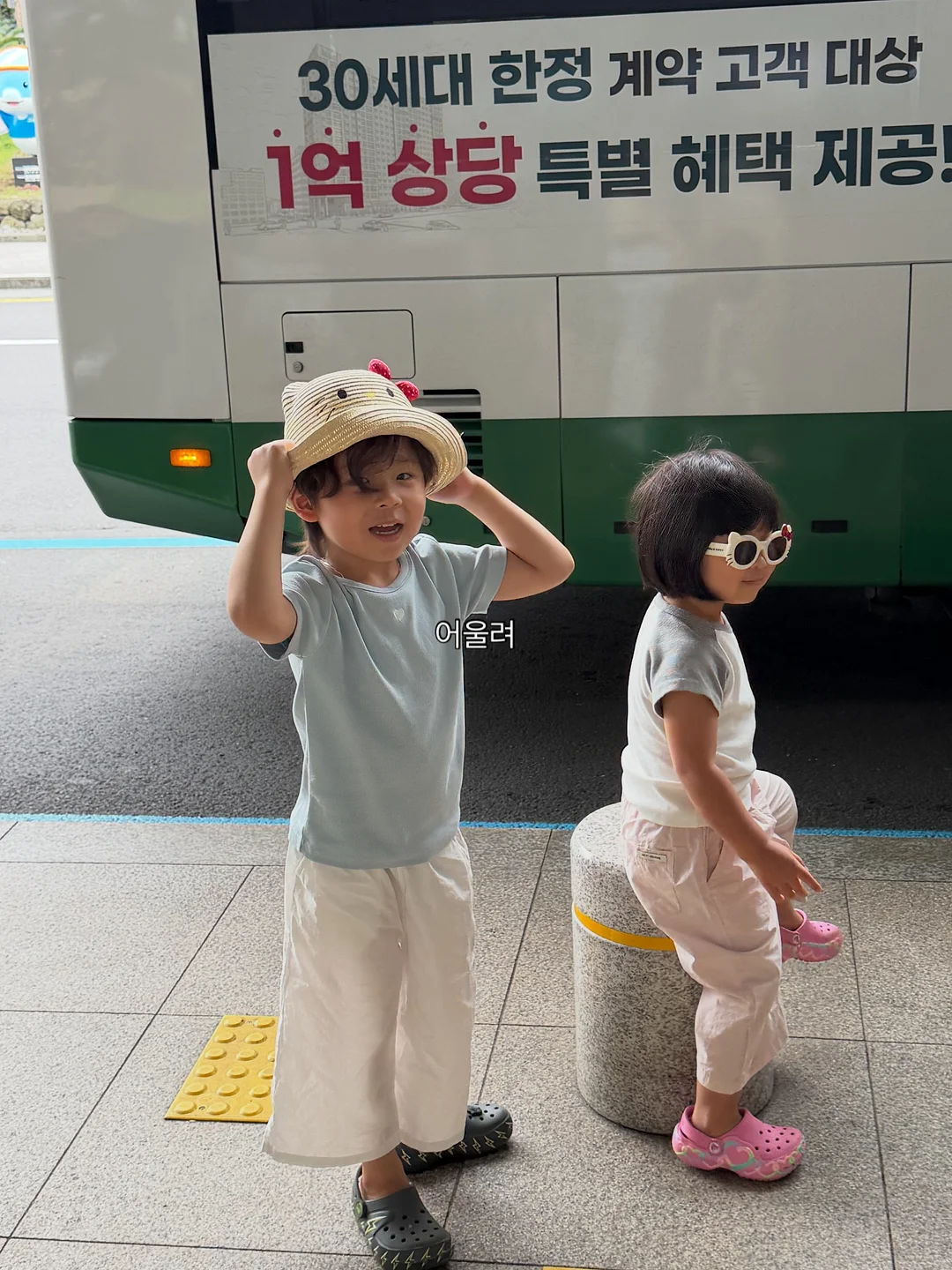 과일 접시 14