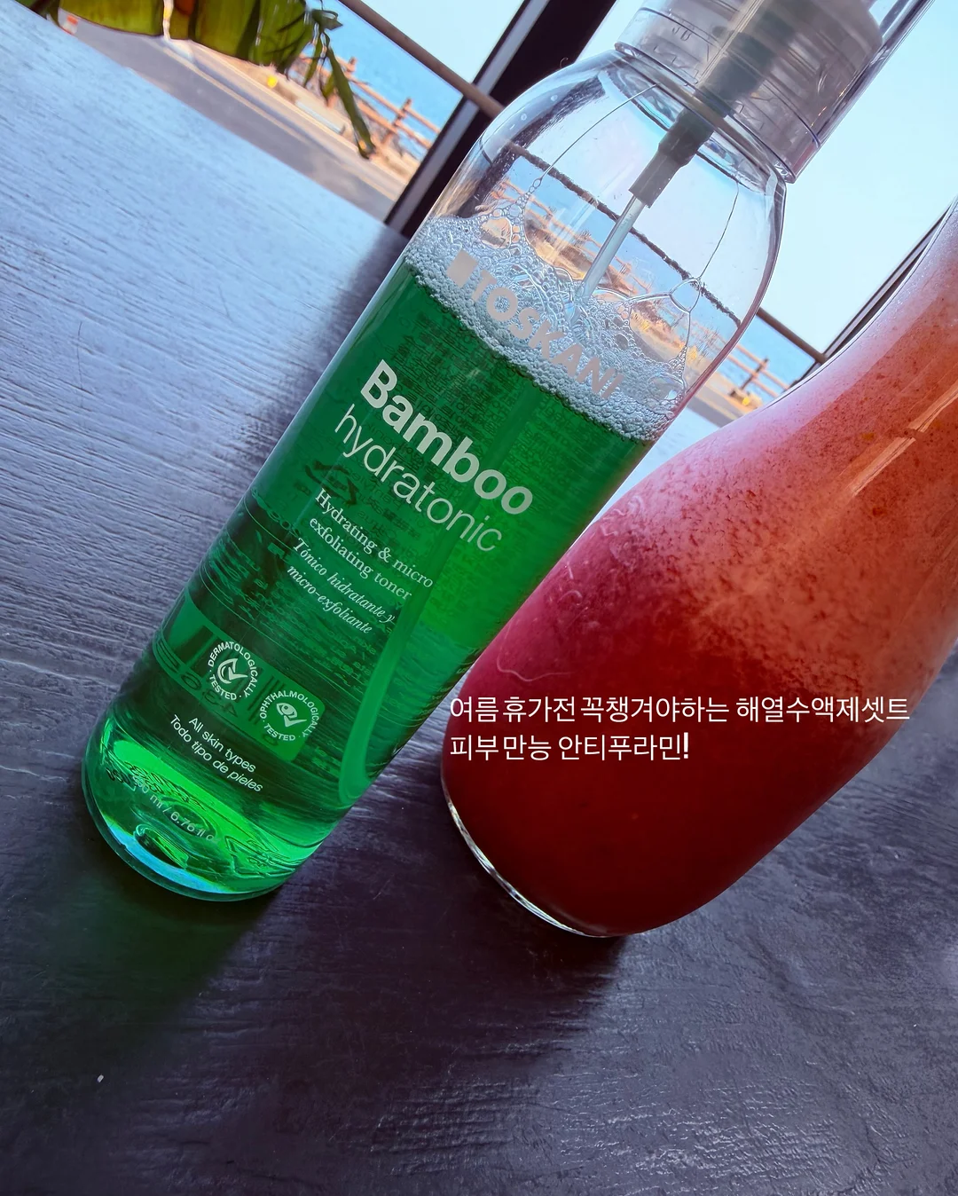 거북이 장난감 1