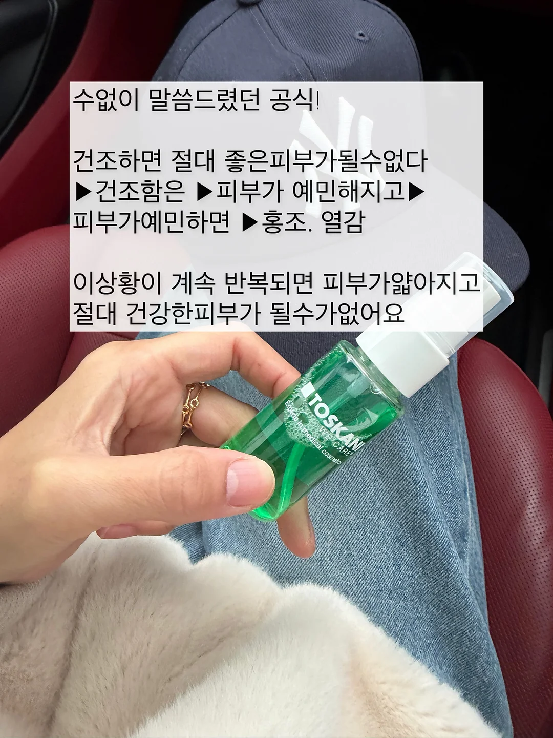 거북이 장난감 11