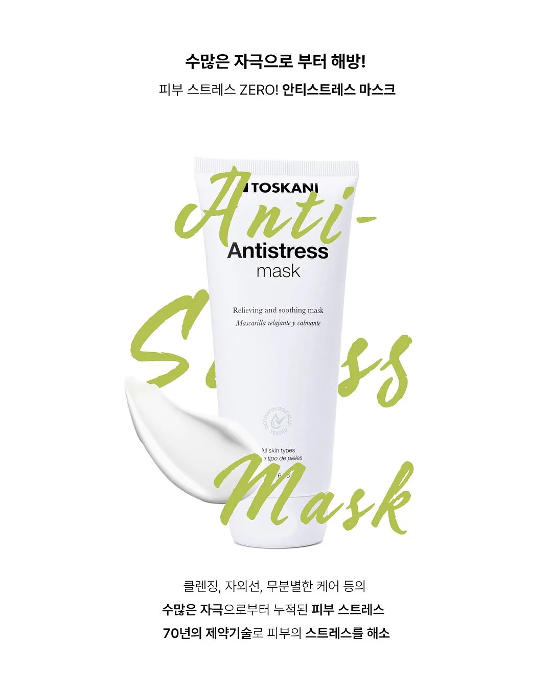 거북이 장난감 15
