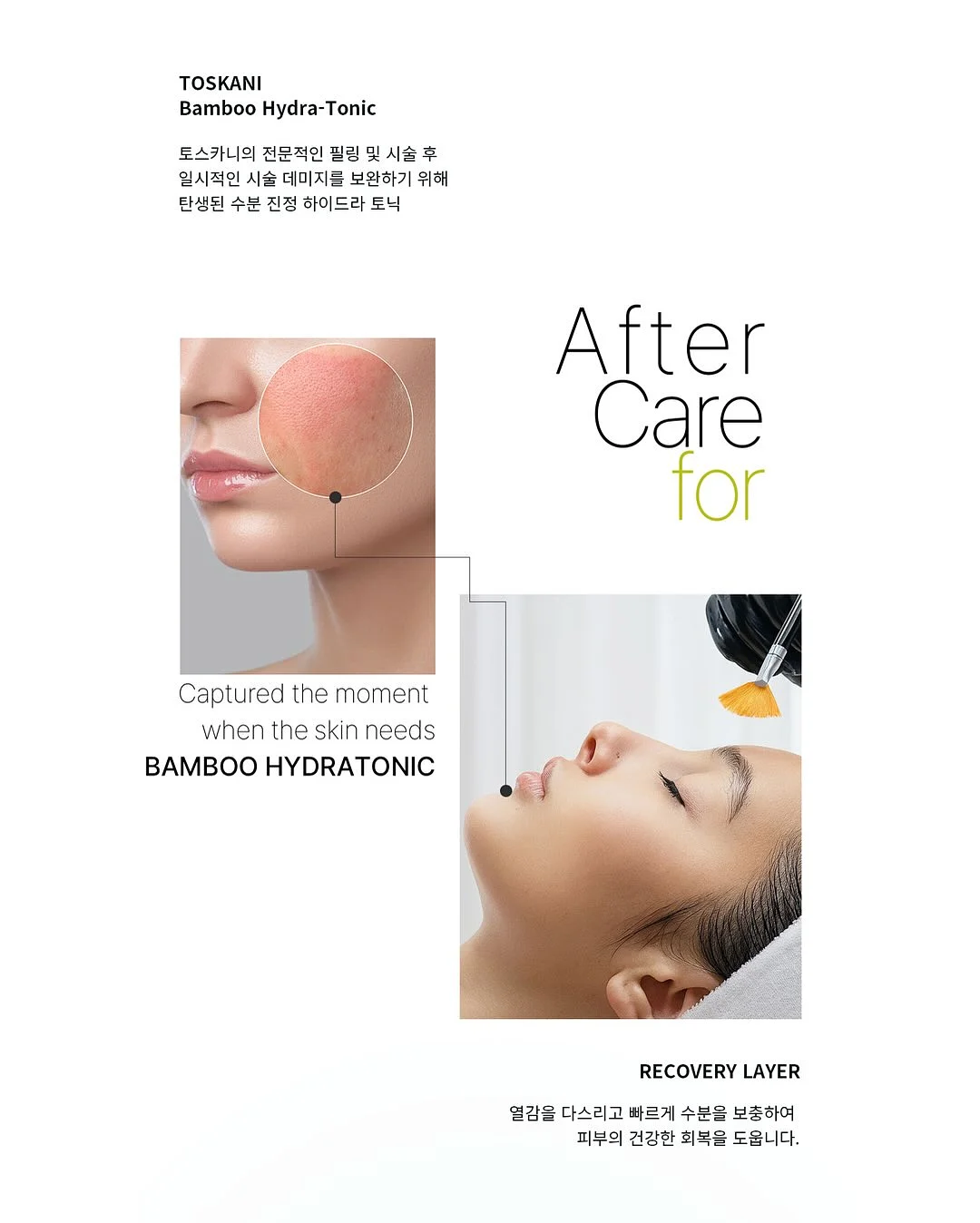 거북이 장난감 18