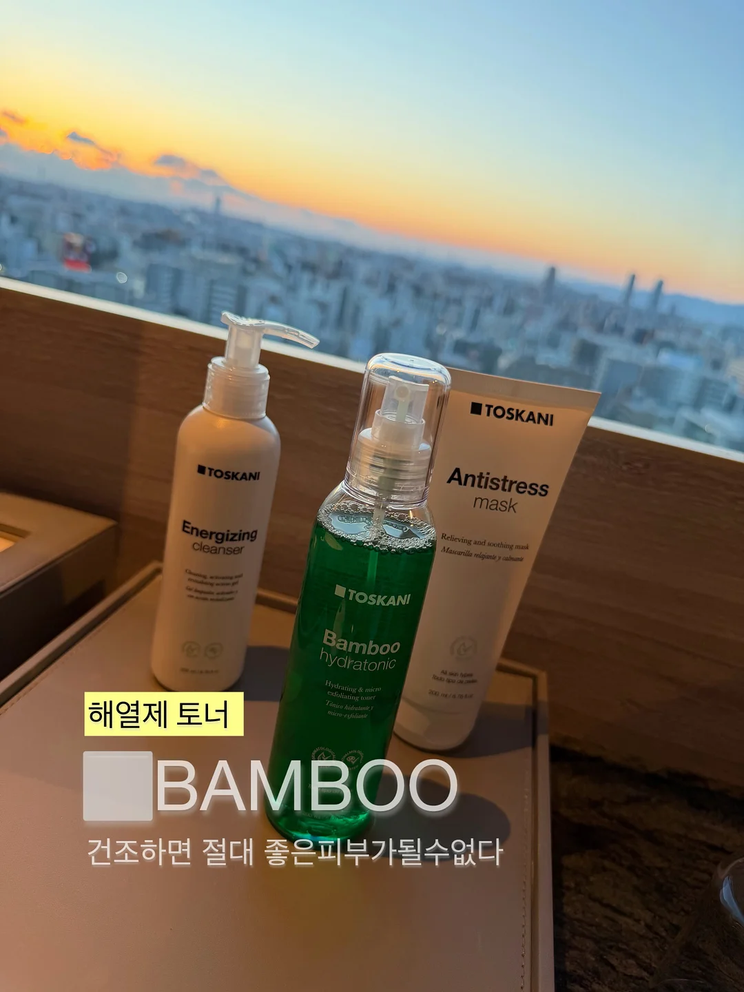 거북이 장난감 9