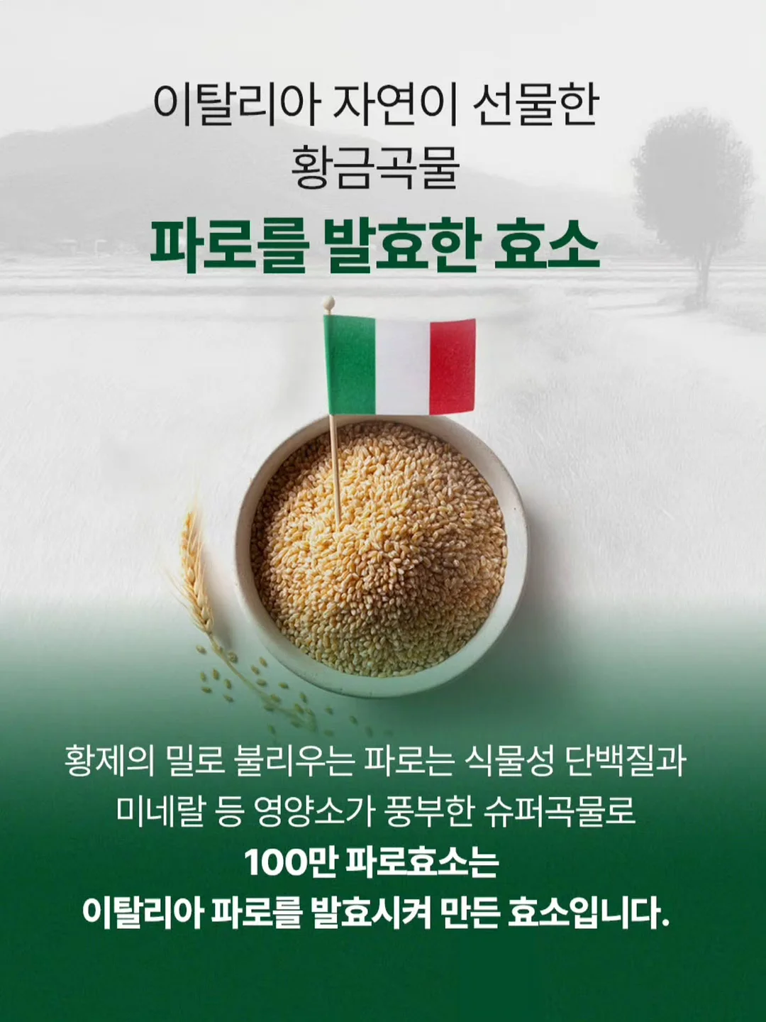 러베 페이셜&핸드워시 5