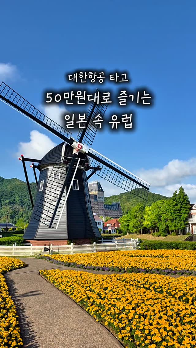 식단 관리 식품