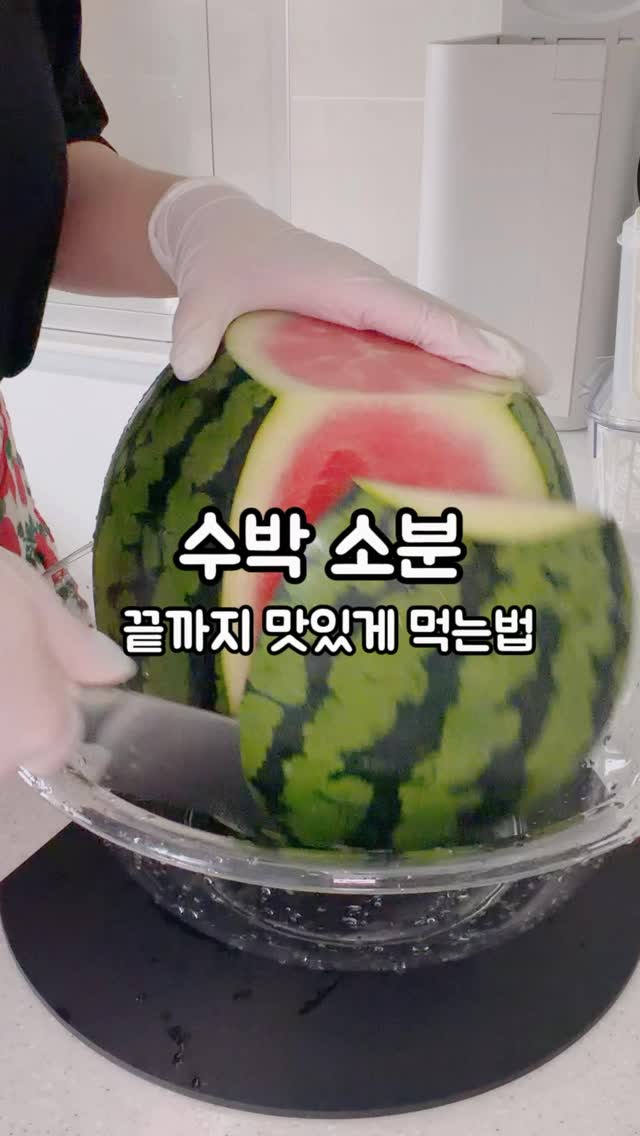알텐바흐 파티웍 웍