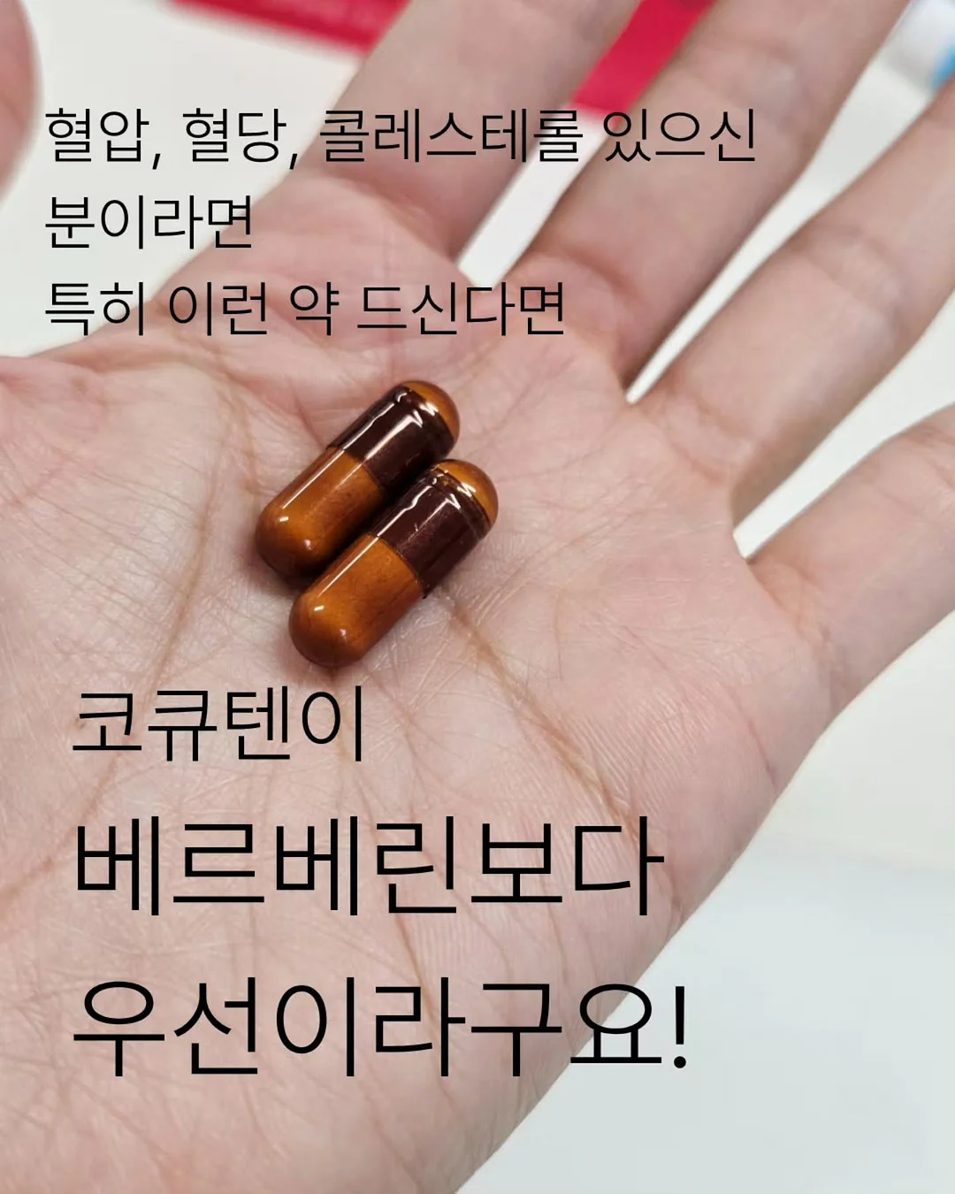 아나벨 수국 캔디벨 유럽 안개나무 스모크 트리 왜성 붓들레아 버터플라이 캔디 더블 플레이 조팝 1