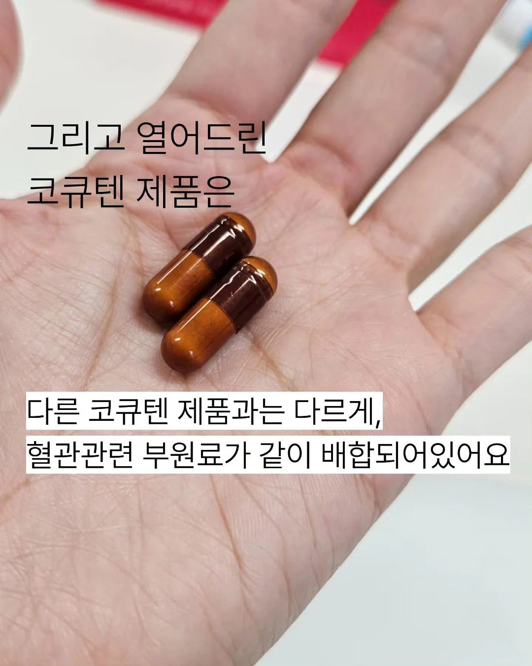 아나벨 수국 캔디벨 유럽 안개나무 스모크 트리 왜성 붓들레아 버터플라이 캔디 더블 플레이 조팝 3