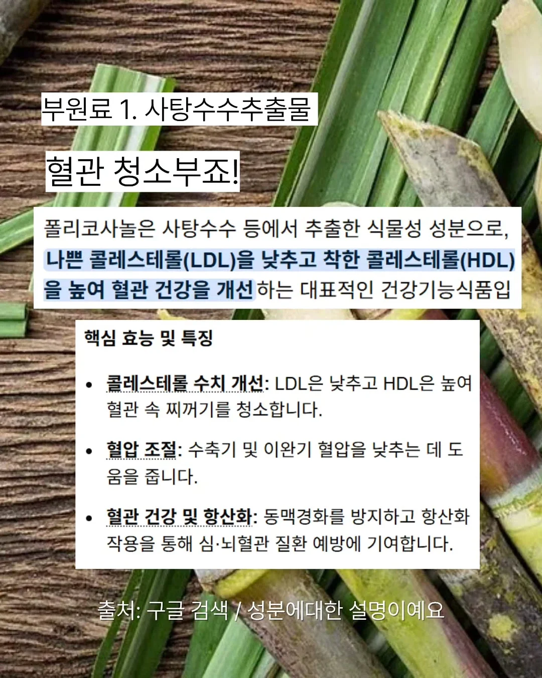 아나벨 수국 캔디벨 유럽 안개나무 스모크 트리 왜성 붓들레아 버터플라이 캔디 더블 플레이 조팝 4