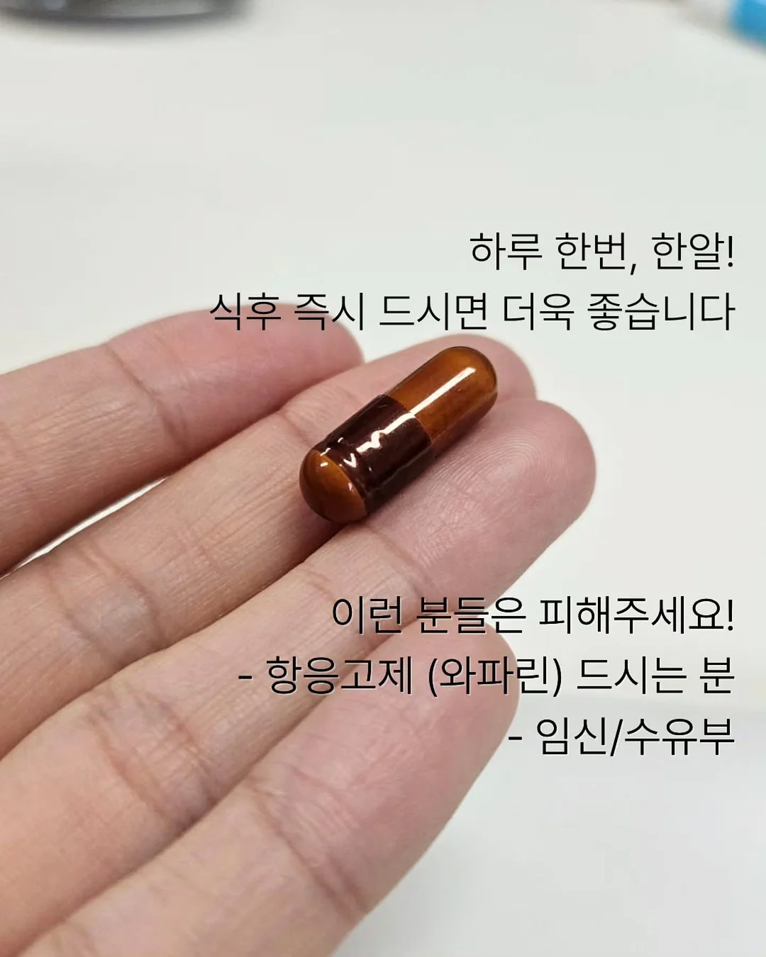 아나벨 수국 캔디벨 유럽 안개나무 스모크 트리 왜성 붓들레아 버터플라이 캔디 더블 플레이 조팝 6