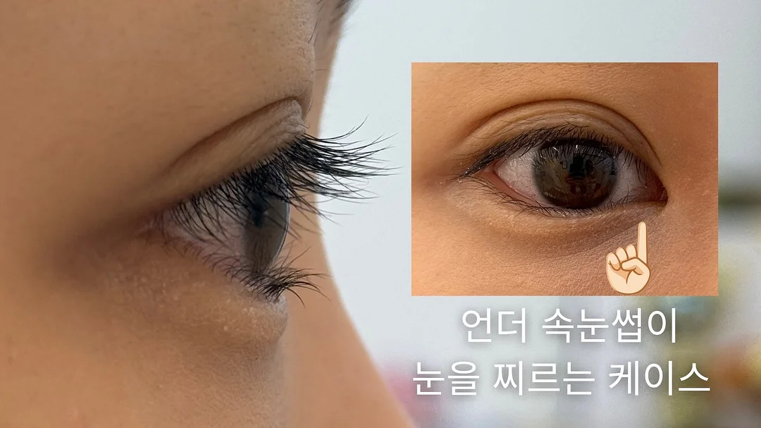 피프티북스 3