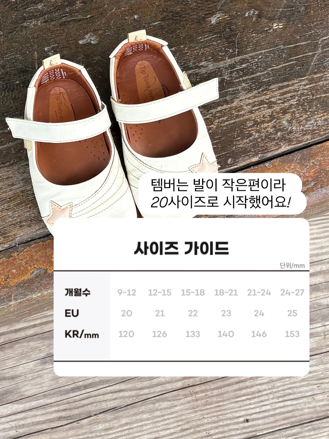 흔들리는 날마다 우리는 쉬운 위로를 찾습니다 9