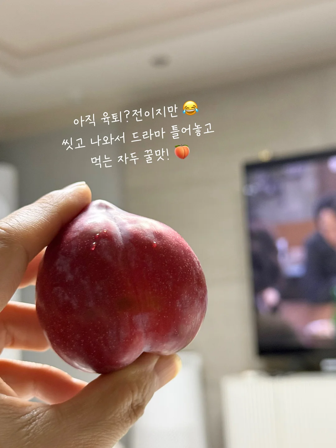 분리배출 포맥스 표지판 1