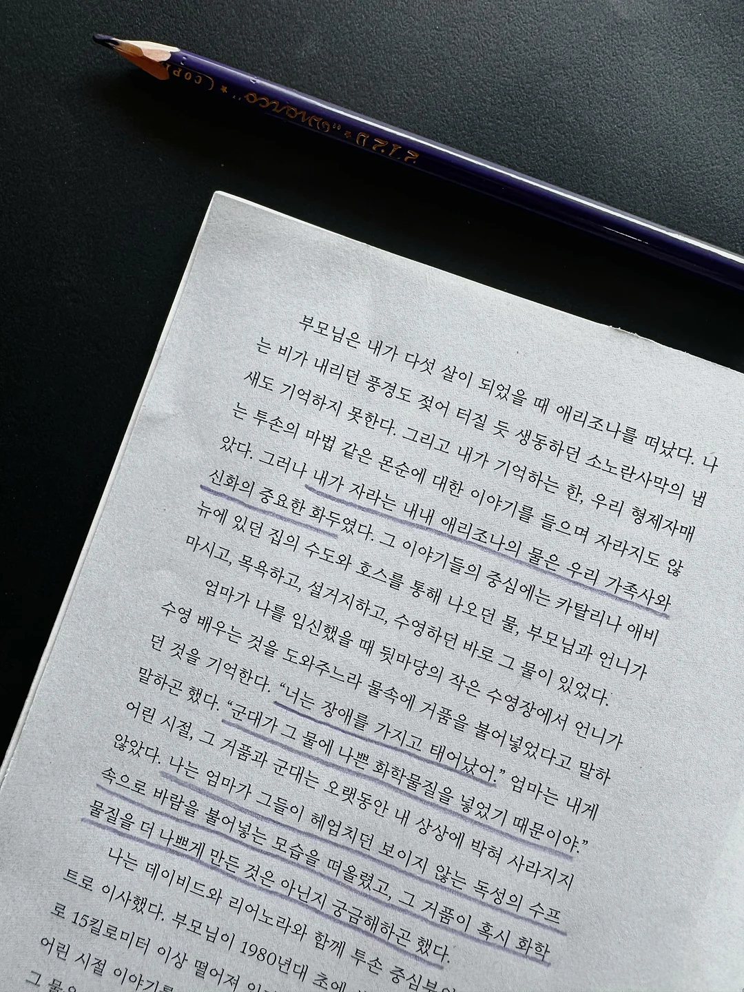 래글런 배색 후드 집업 / 파이핑 후드 아노락 / 파이핑 클래식 스웻셔츠 3