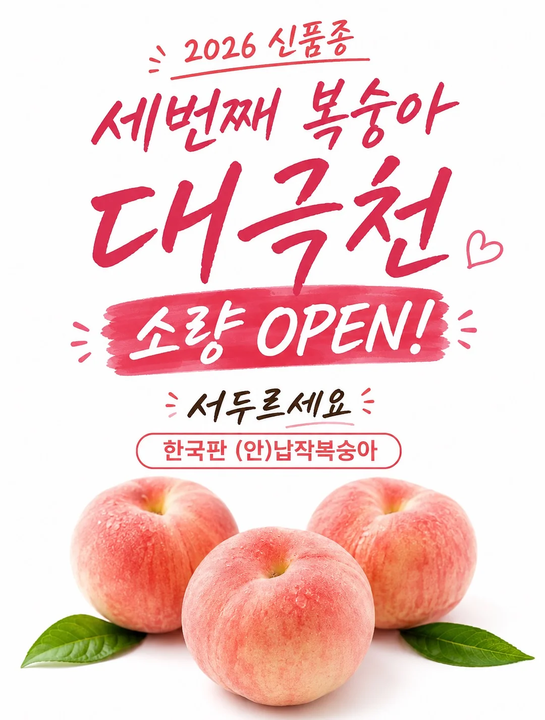 고윤정립 1