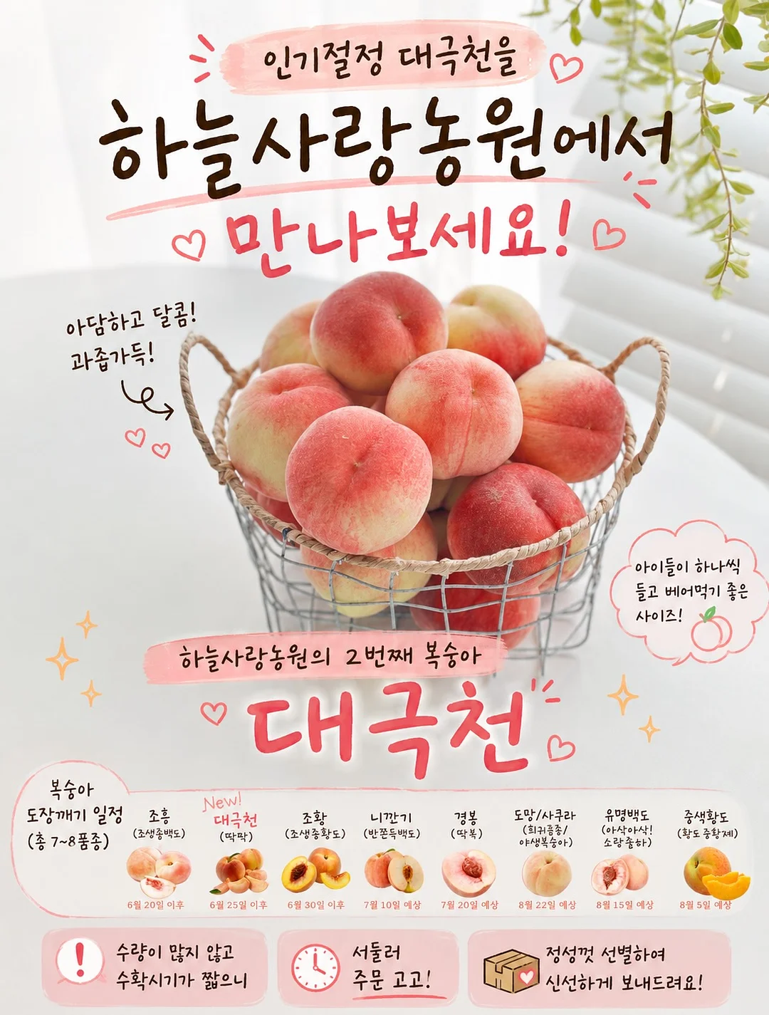고윤정립 12