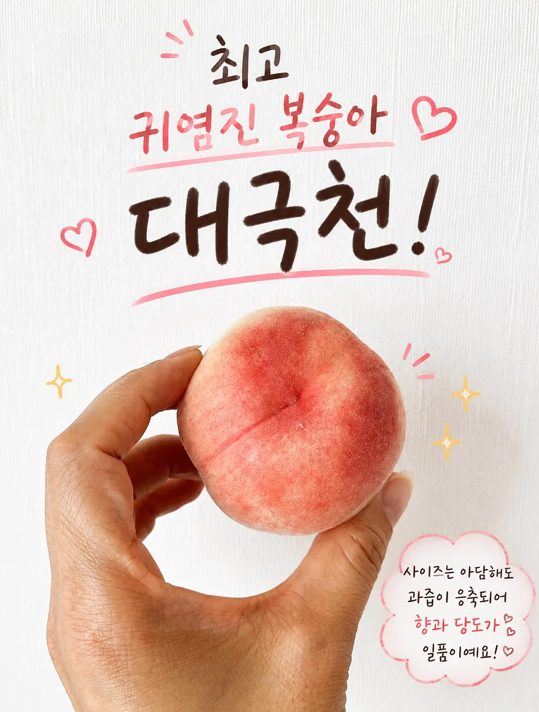 고윤정립 2