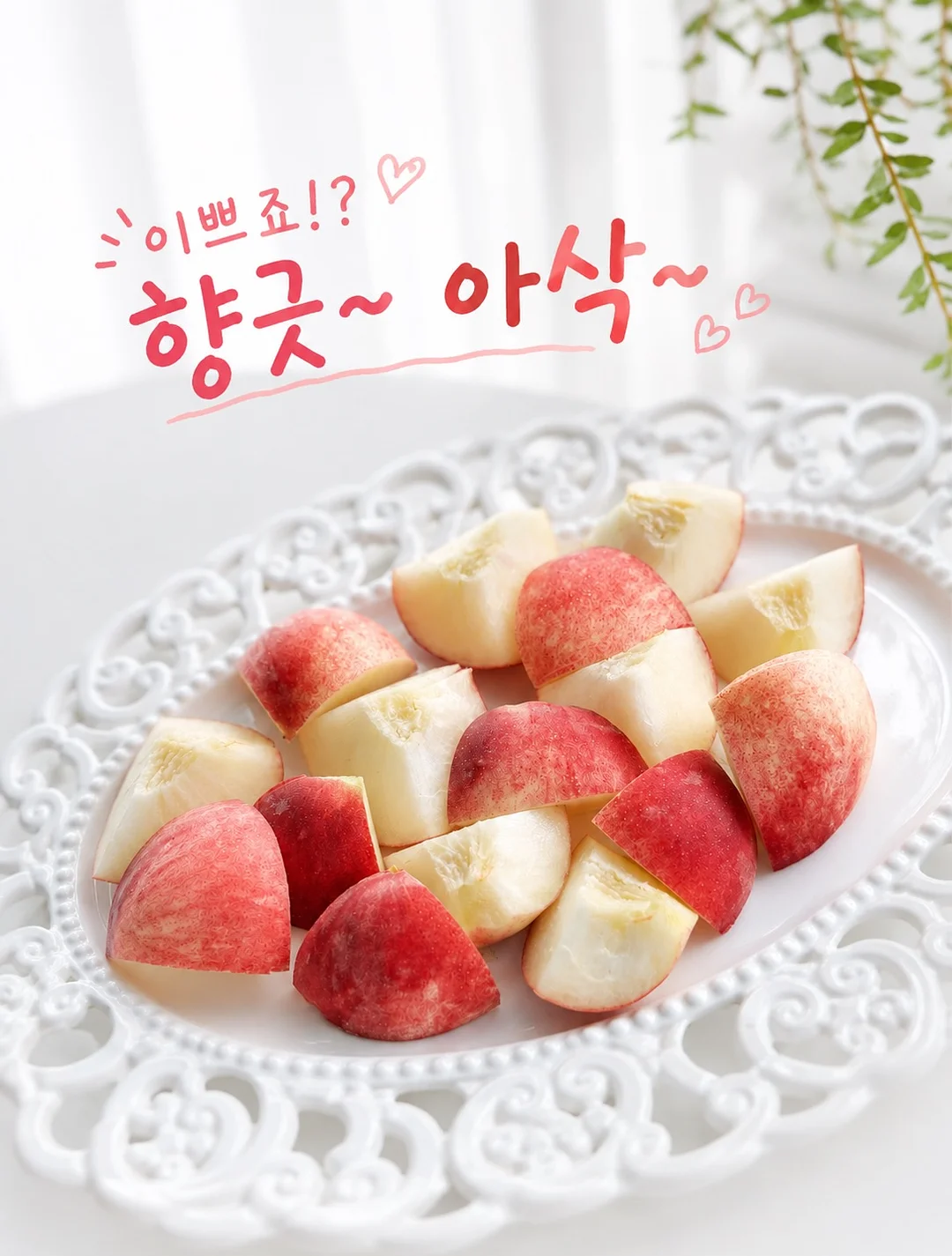 고윤정립 3