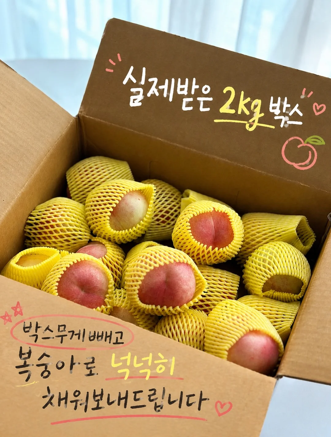 고윤정립 4