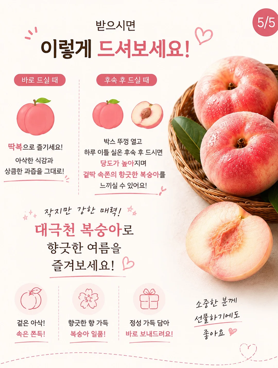 고윤정립 6