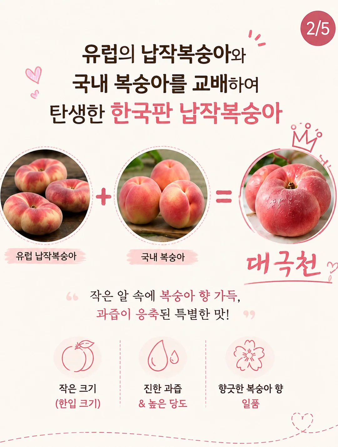 고윤정립 7