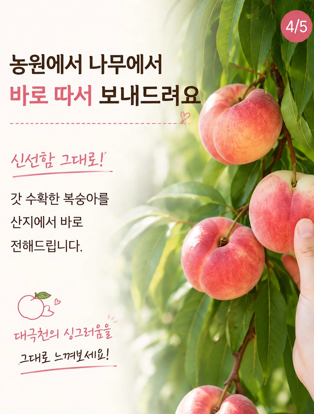 고윤정립 8