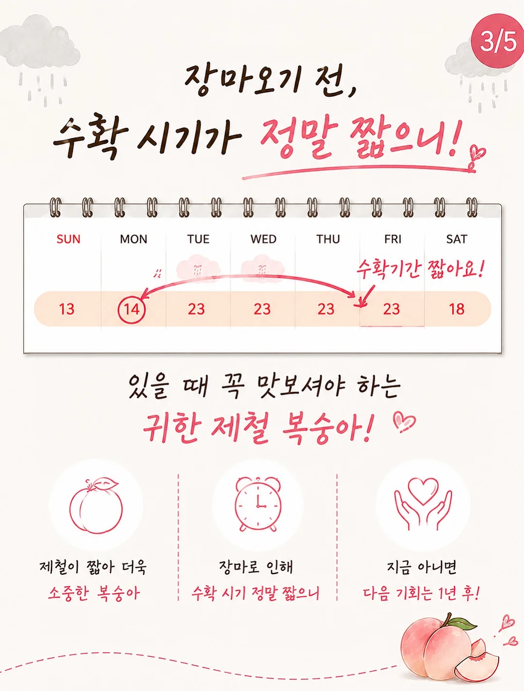 고윤정립 9