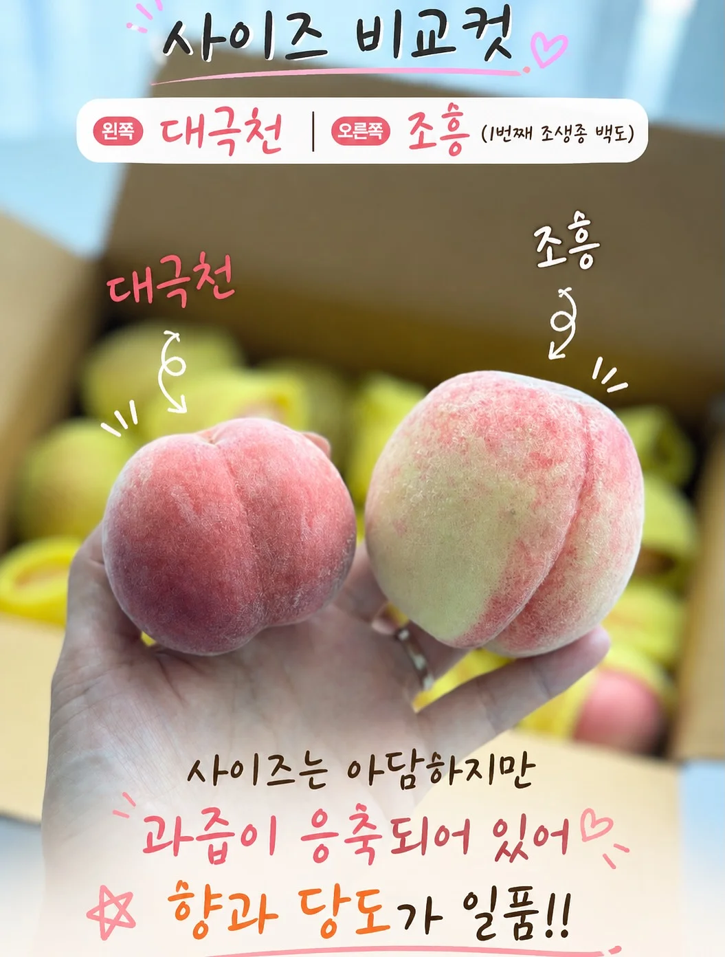 고윤정립 10