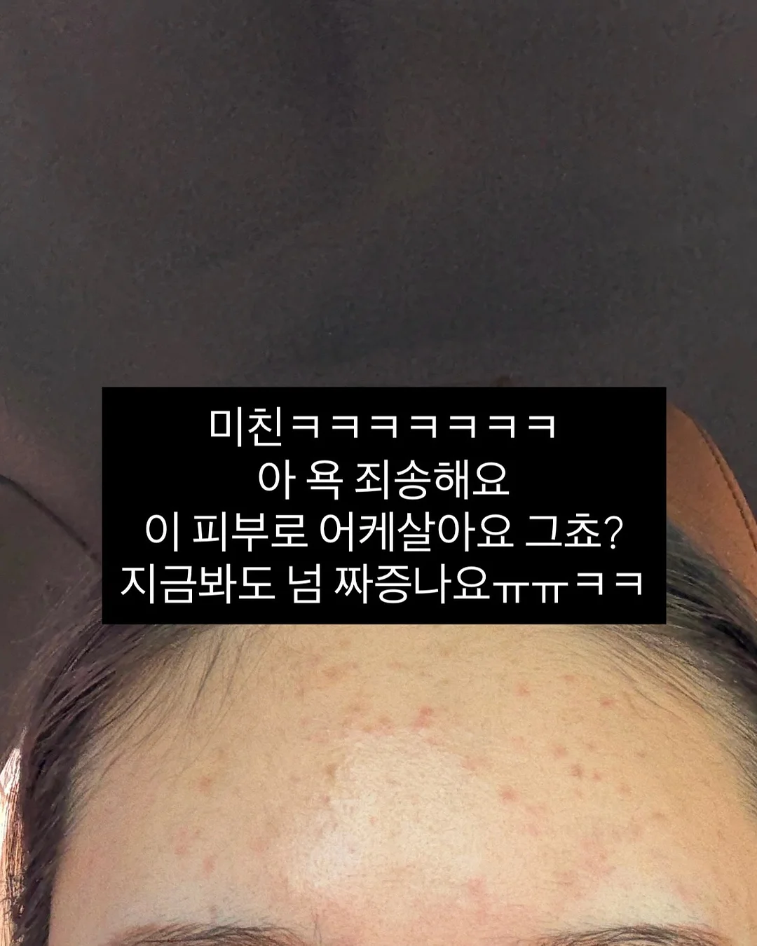 야구장도시락 3