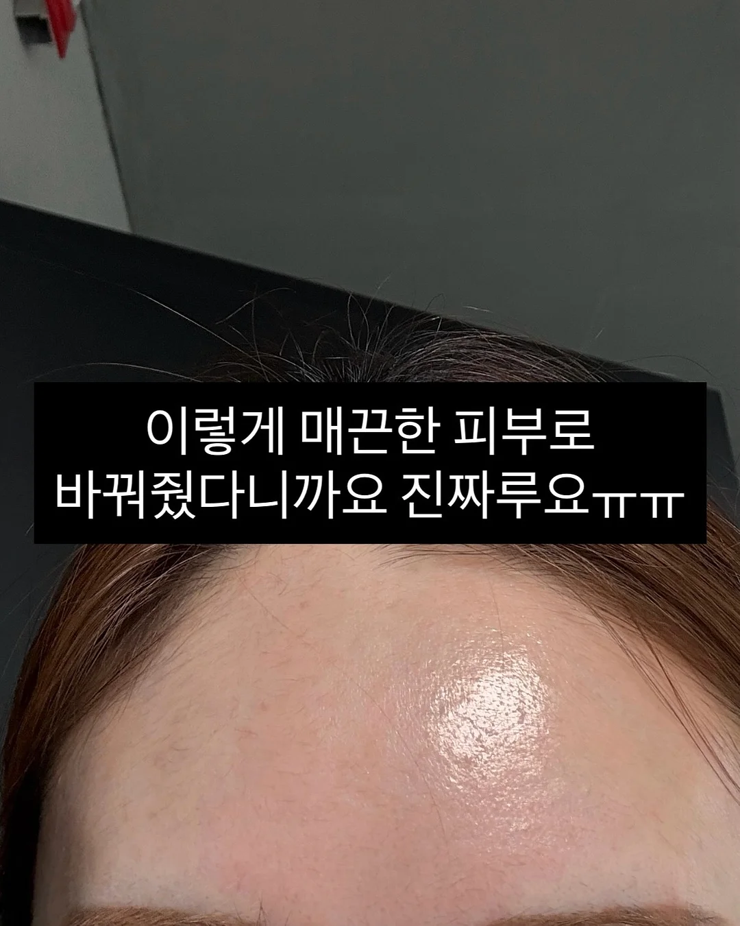 야구장도시락 5
