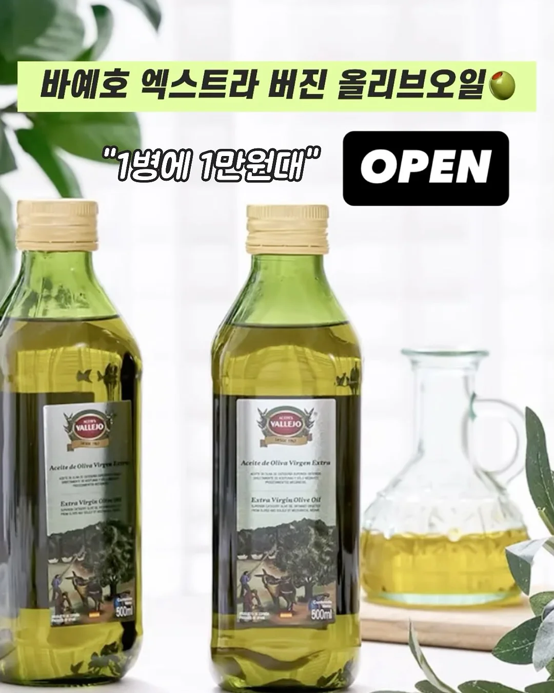 더숲풀빌라 봄 시즌 할인 특가 1