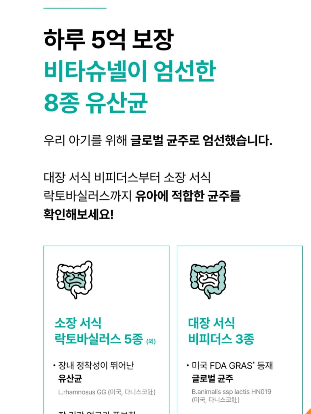 강아지 힙시트 8