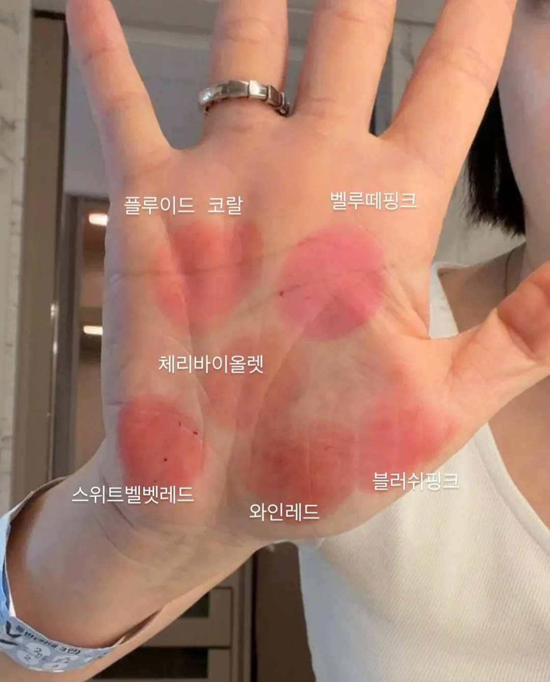 참송이버섯 2