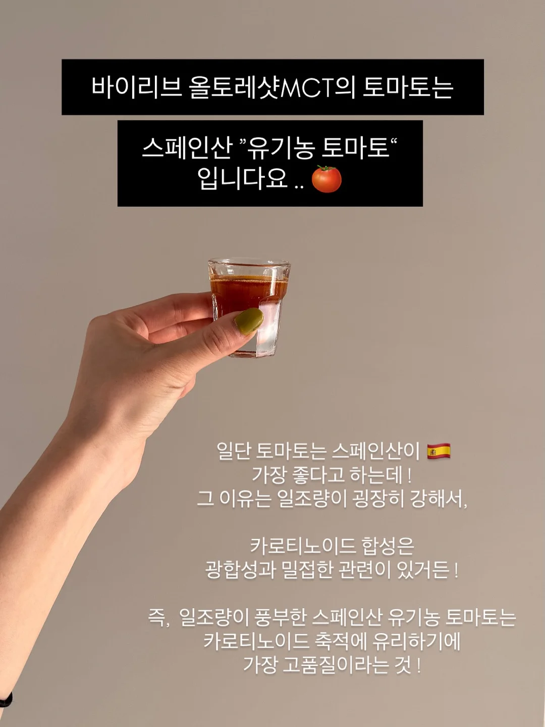 다용도 야채 저장 용기 15