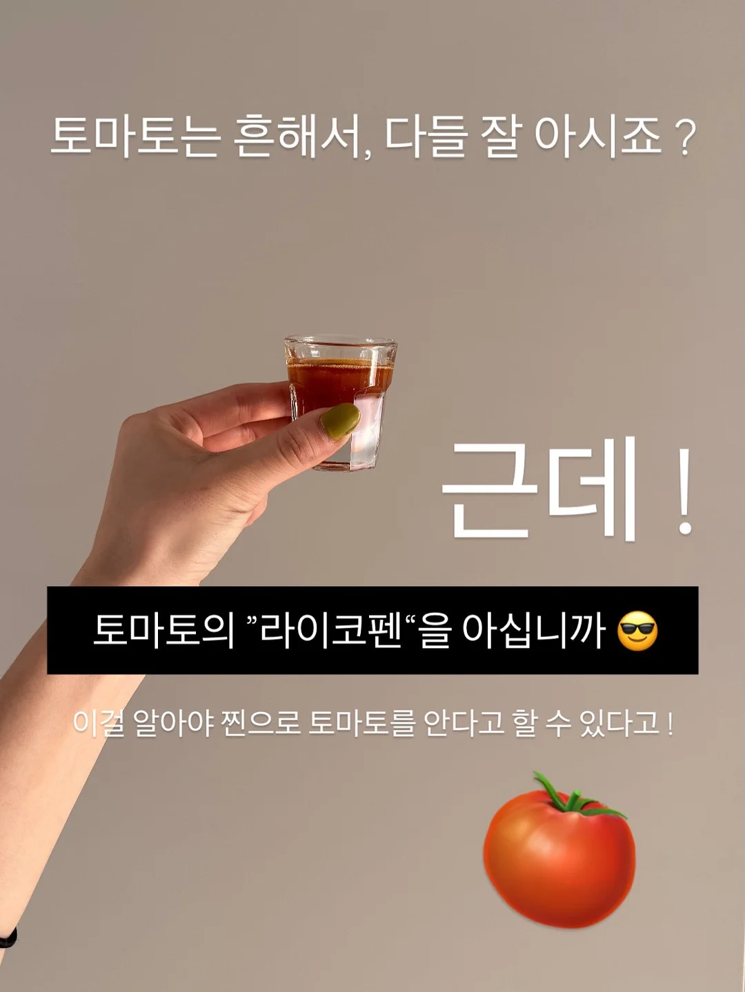 다용도 야채 저장 용기 2