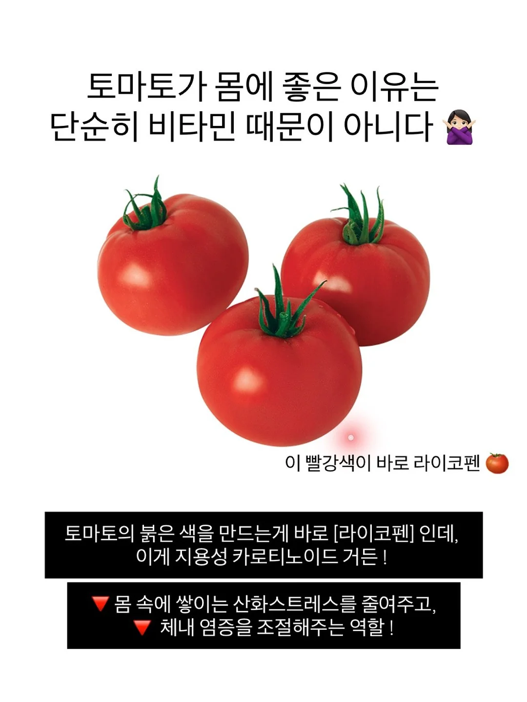 다용도 야채 저장 용기 4