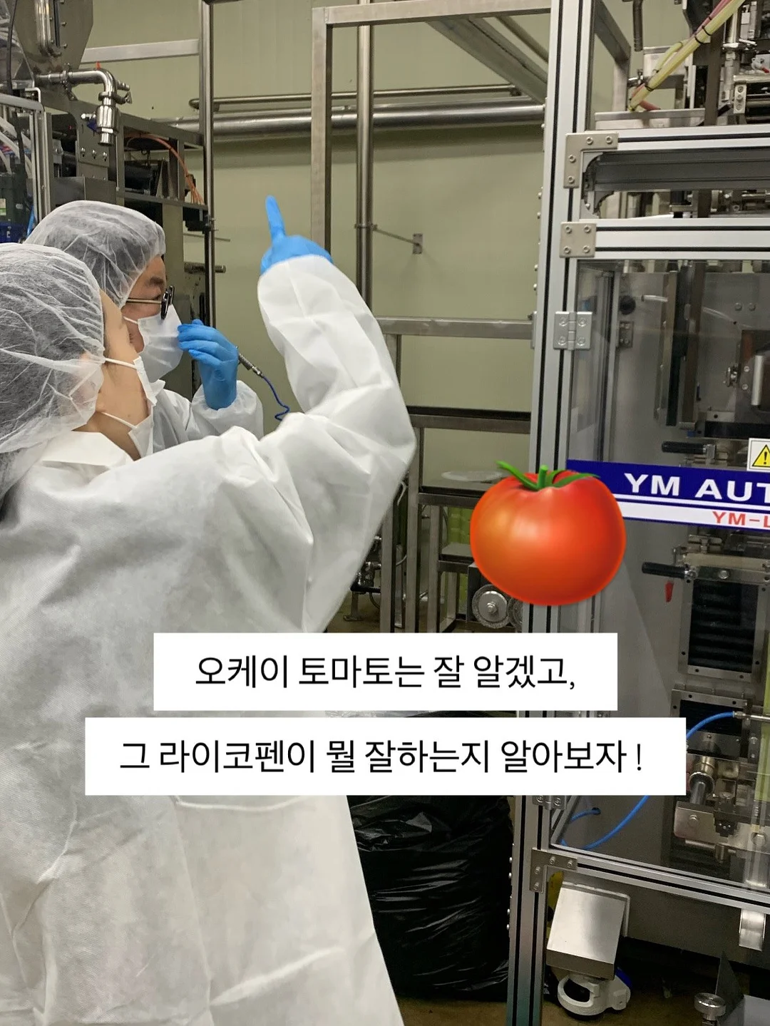 다용도 야채 저장 용기 5