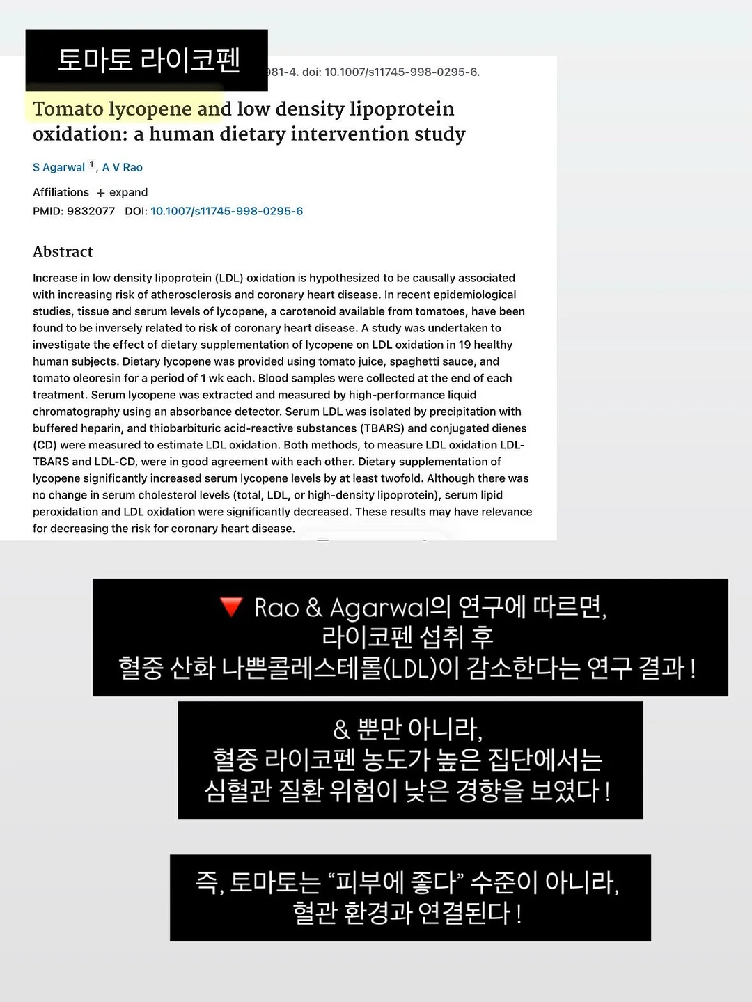 다용도 야채 저장 용기 8