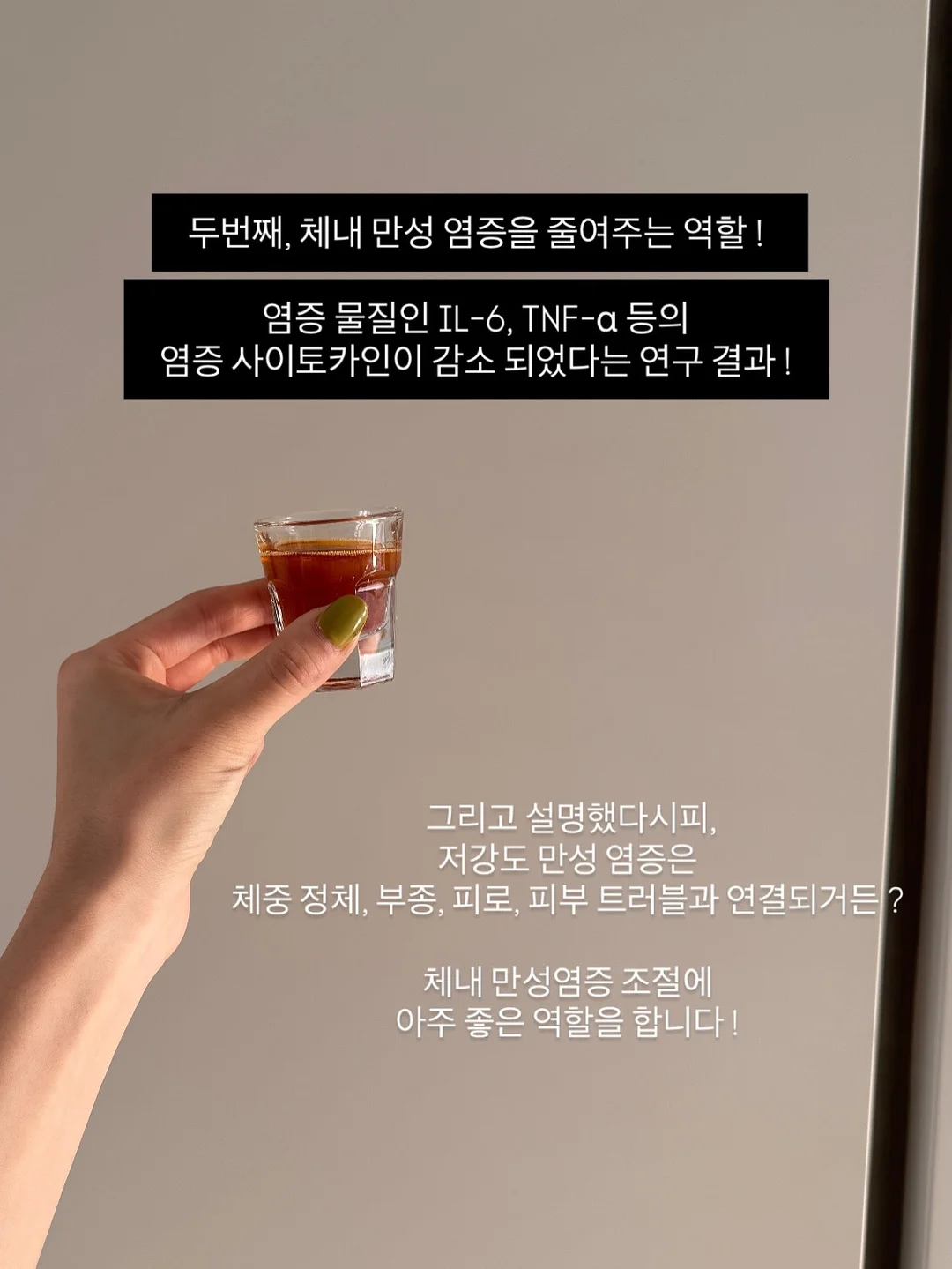 다용도 야채 저장 용기 9