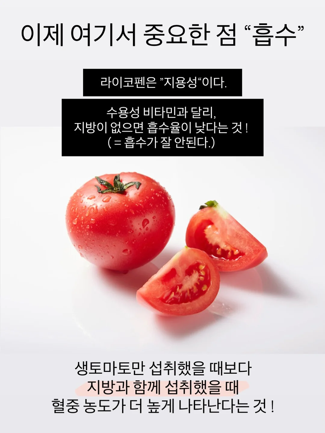 다용도 야채 저장 용기 10