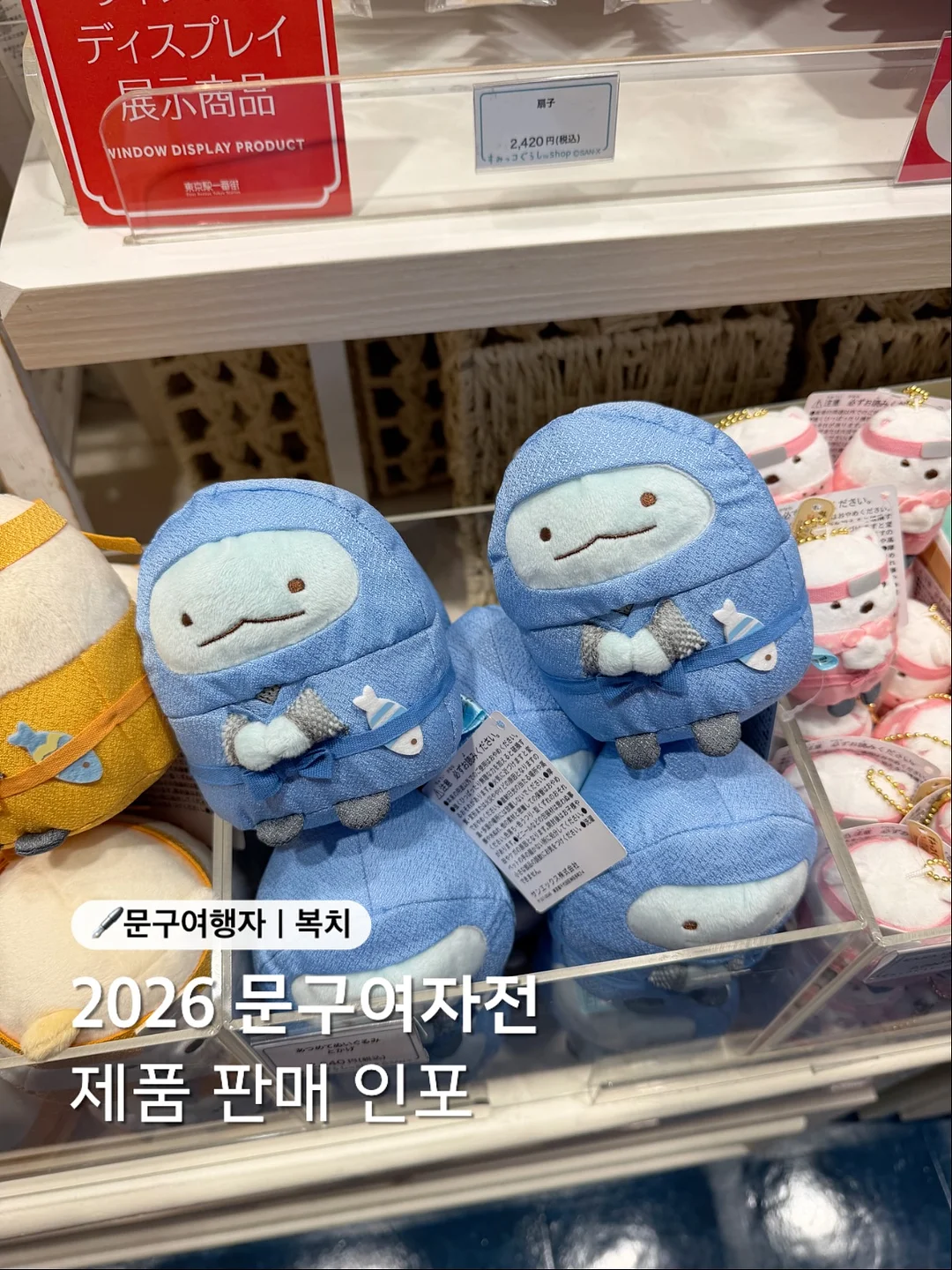 로에베 골지나시 1