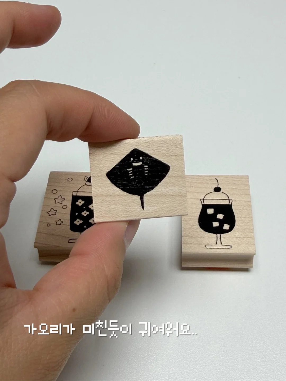 로에베 골지나시 15