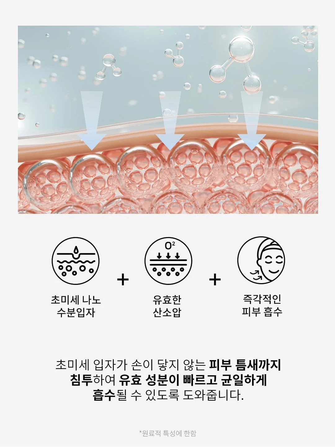 컴포트셋업 5