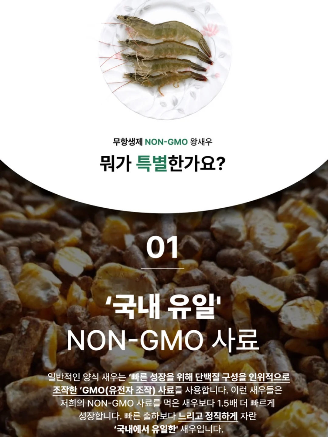 편한 옷 세트 5