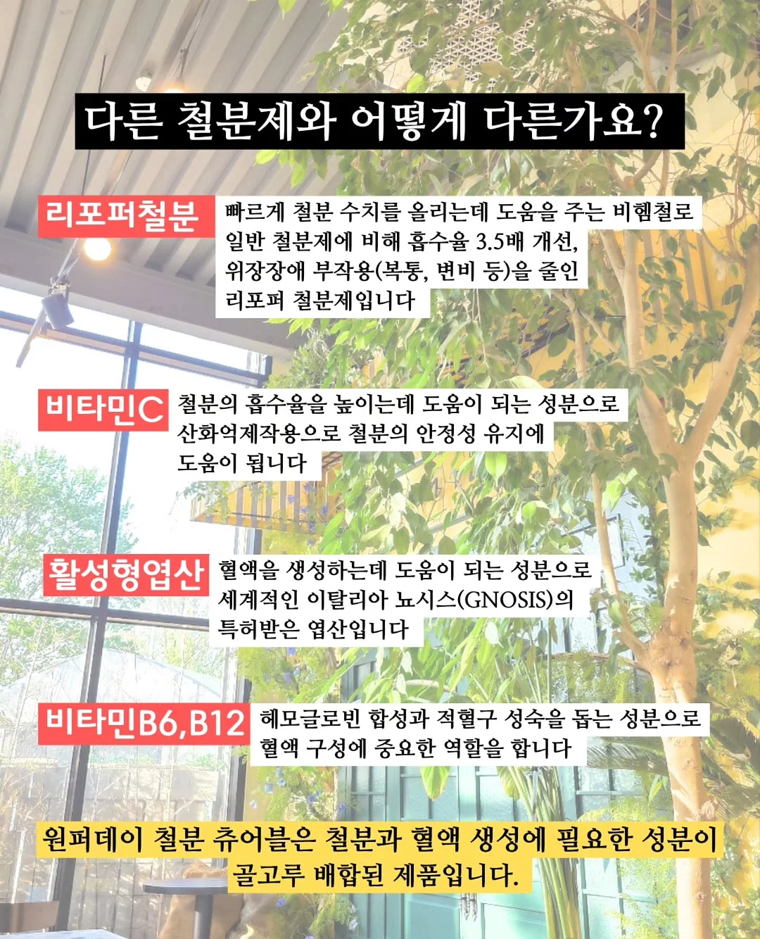 이번생에 영끌은 무섭고 전세금 올려주기 지쳐서 실거주 한채 샀습니다만 4