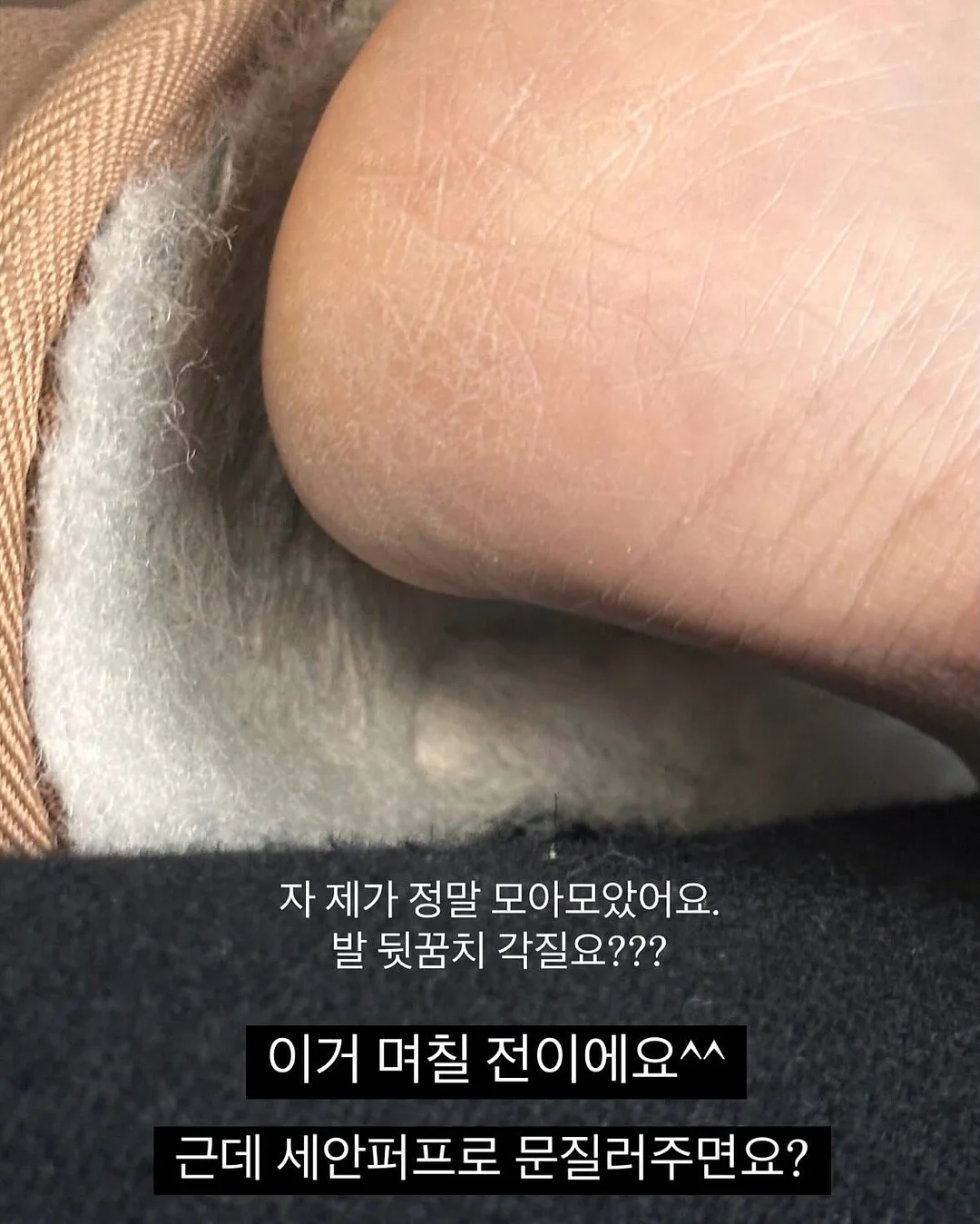 바스틀리 키친타월 2