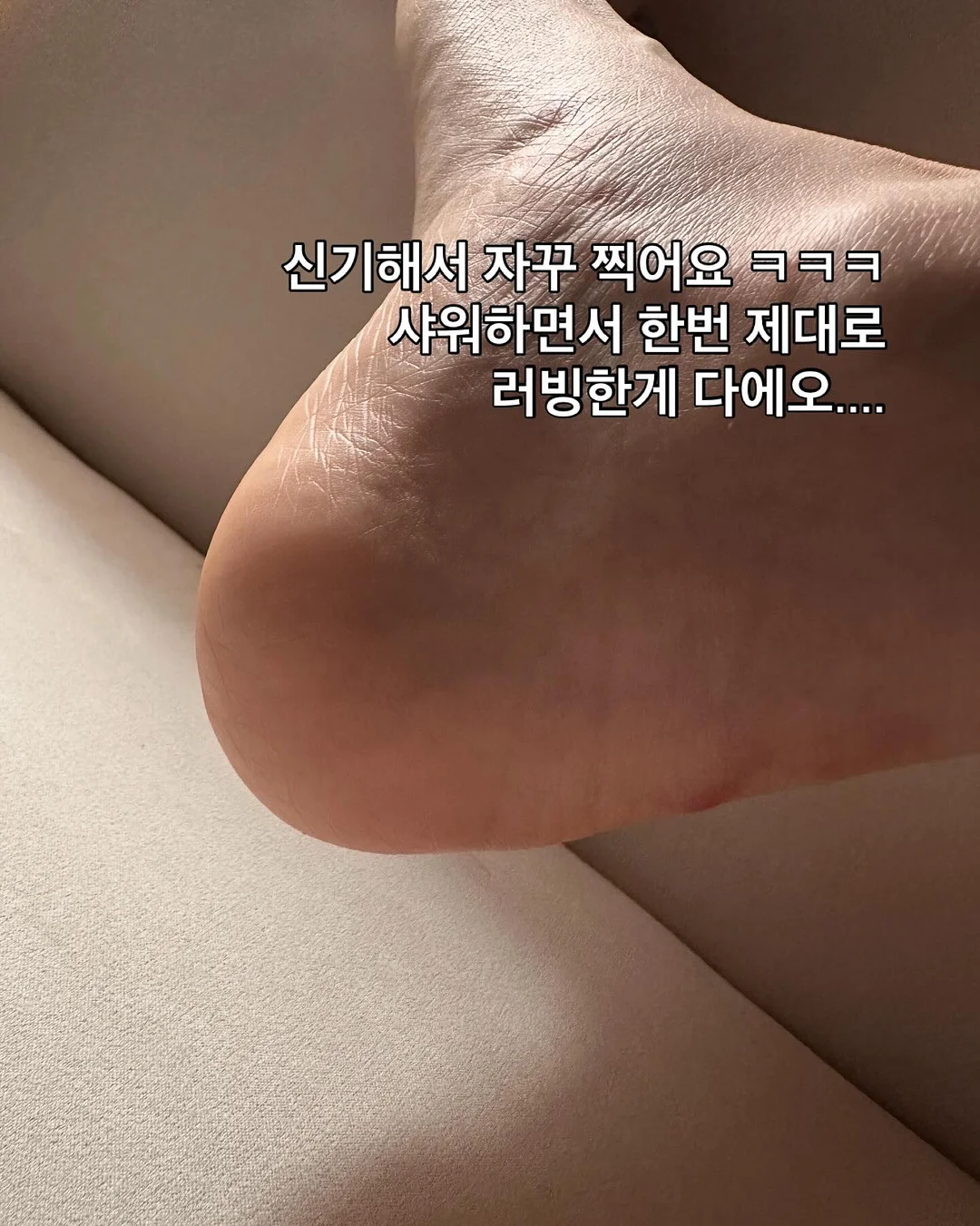 바스틀리 키친타월 6