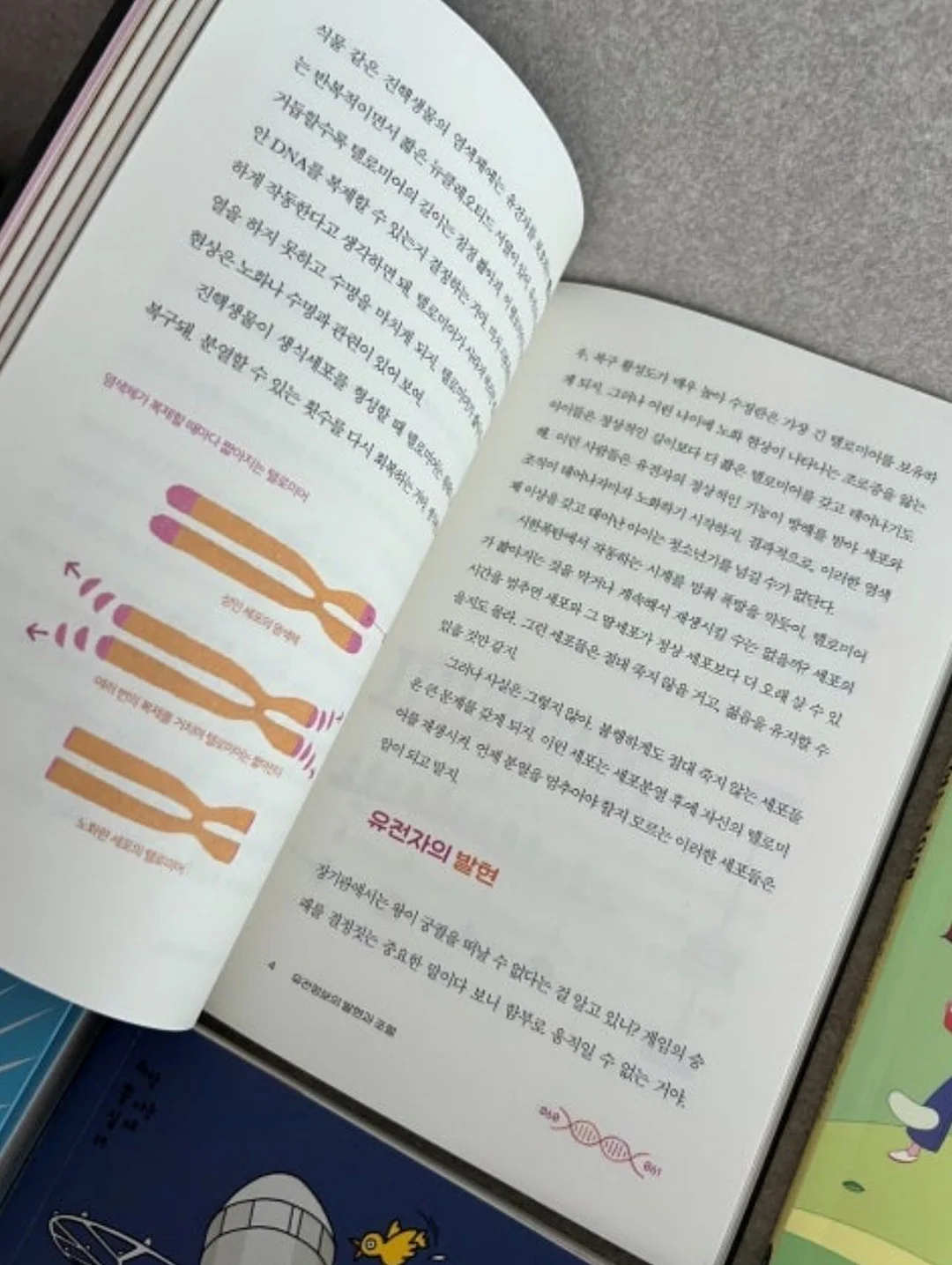 애벌빨래 클리너 5