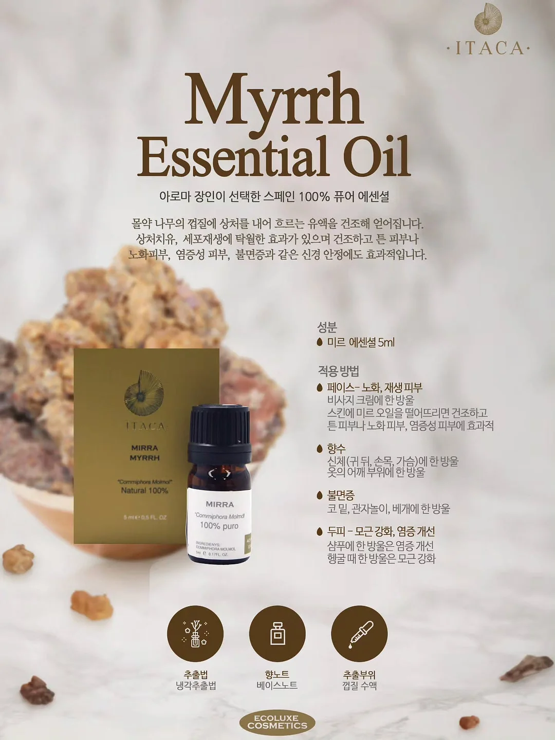 탈라 물광 4총사
