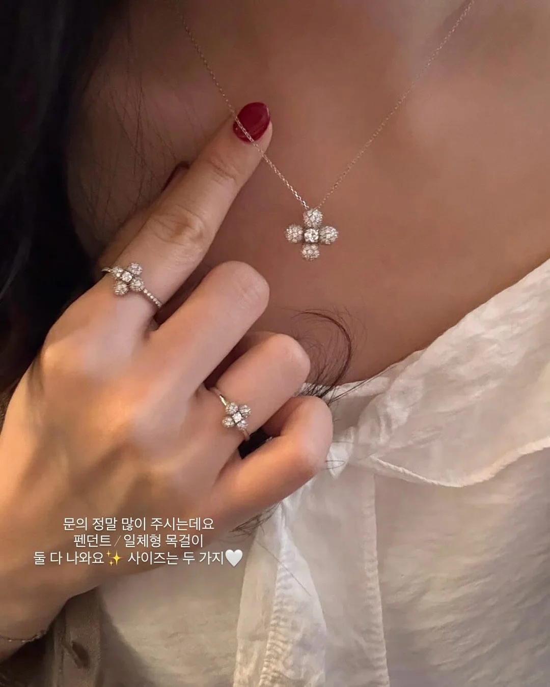 체리 6
